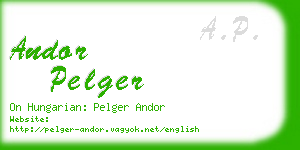 andor pelger business card